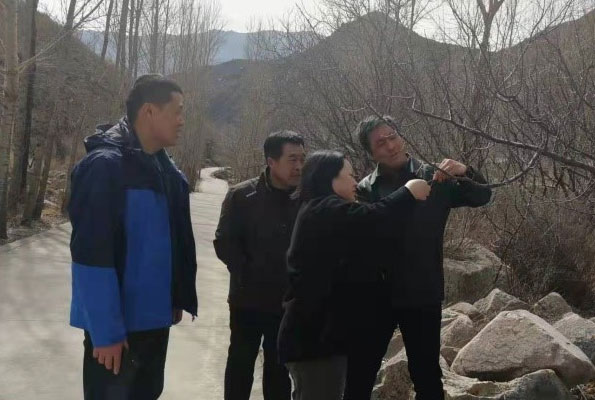 借食用菌产业，助力乡村振兴