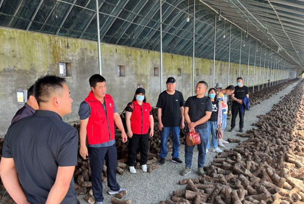 双孢蘑菇岗位团队到涿鹿县五堡镇开展食用菌栽培专题调研